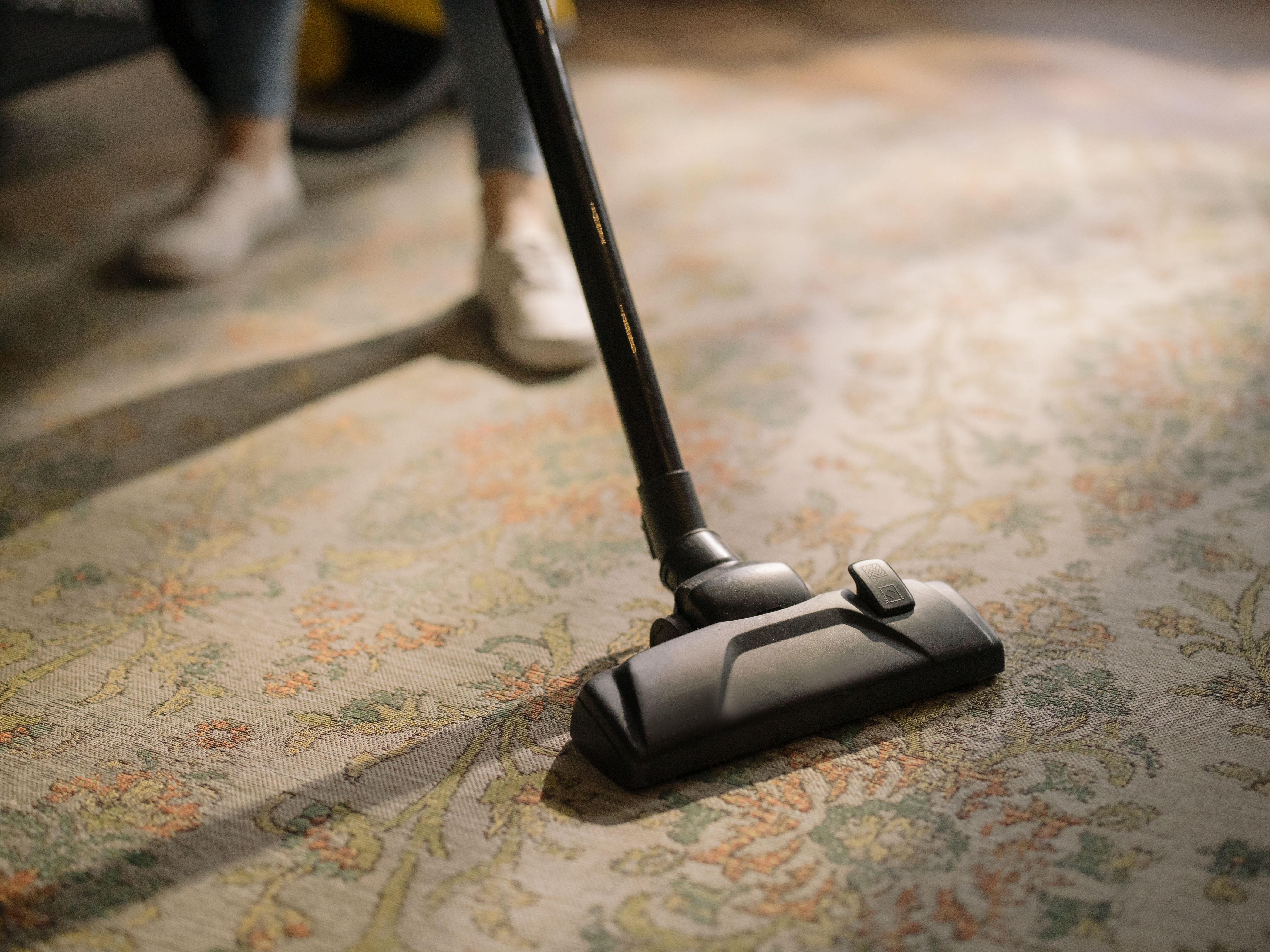Home carpet care and maintenance