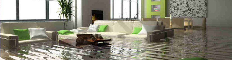 Carpet Flood Restoration